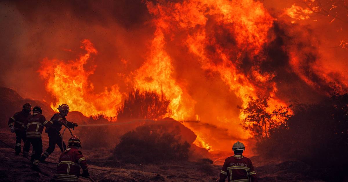 Maioria dos incendiários detidos este ano é suspeito de ter ateado outros fogos