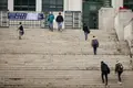 Instituições querem menos exames no acesso