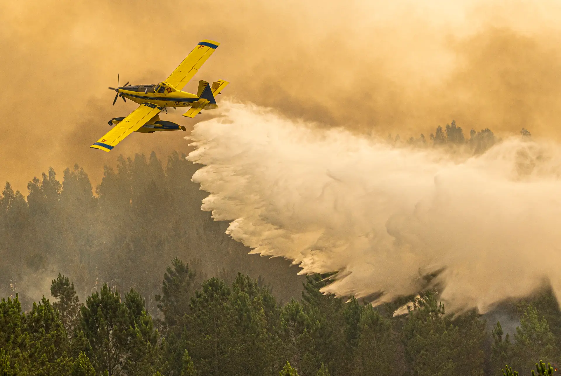 Incêndios: Fogo em Trancoso reativa-se e vai em direção a "locais isolados com casas dispersas"