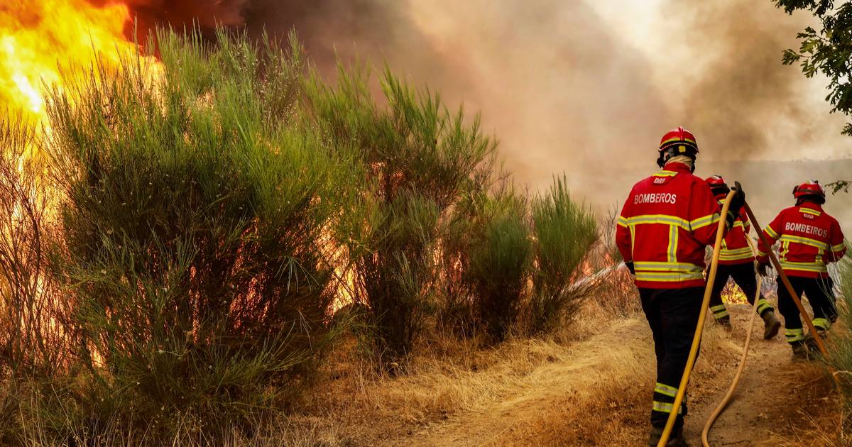 Incêndios: Morreu homem ferido no fogo do Sabugal