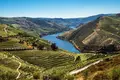 Porto, porque não branco?