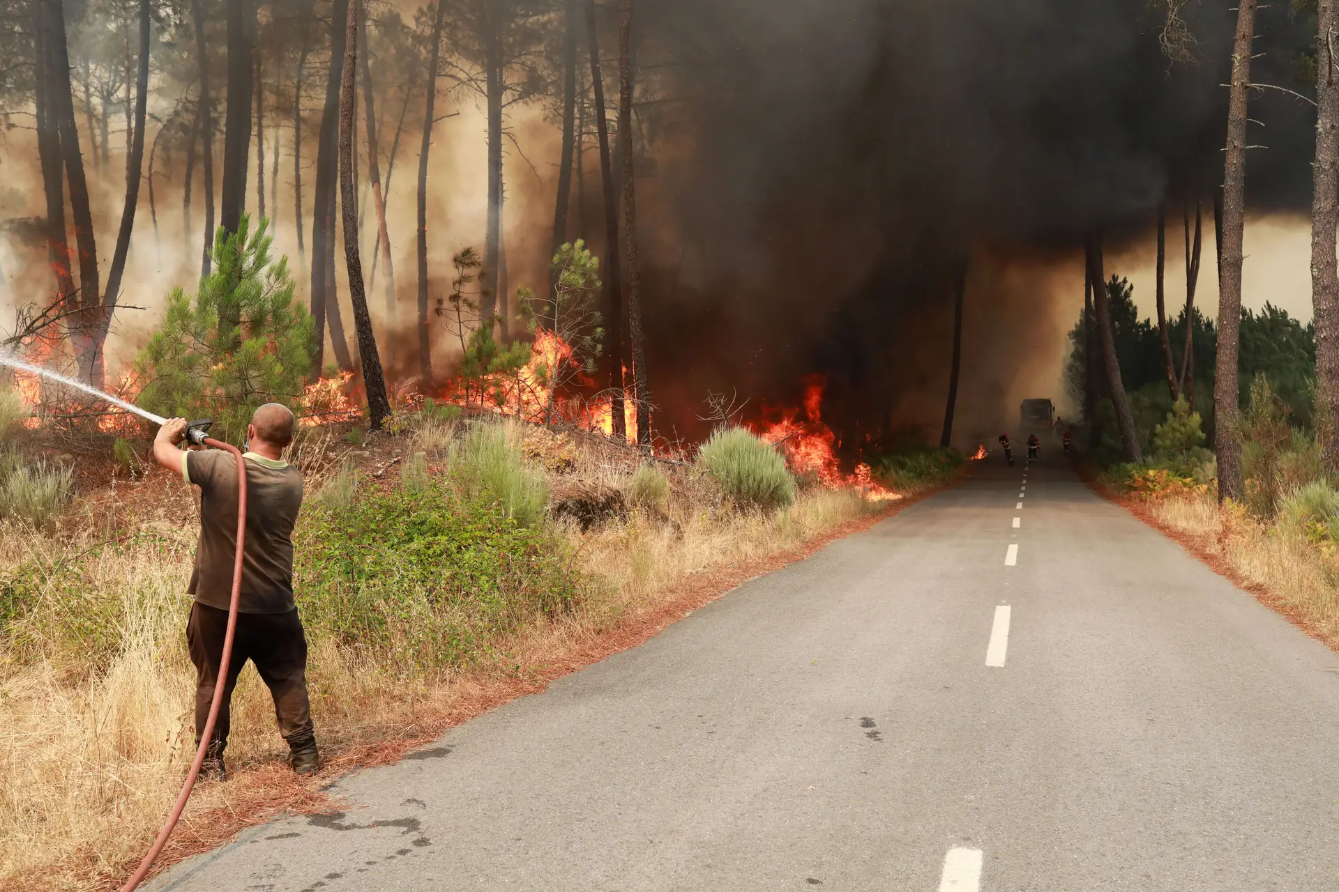 Incêndio em Trancoso, no distrito da Guarda