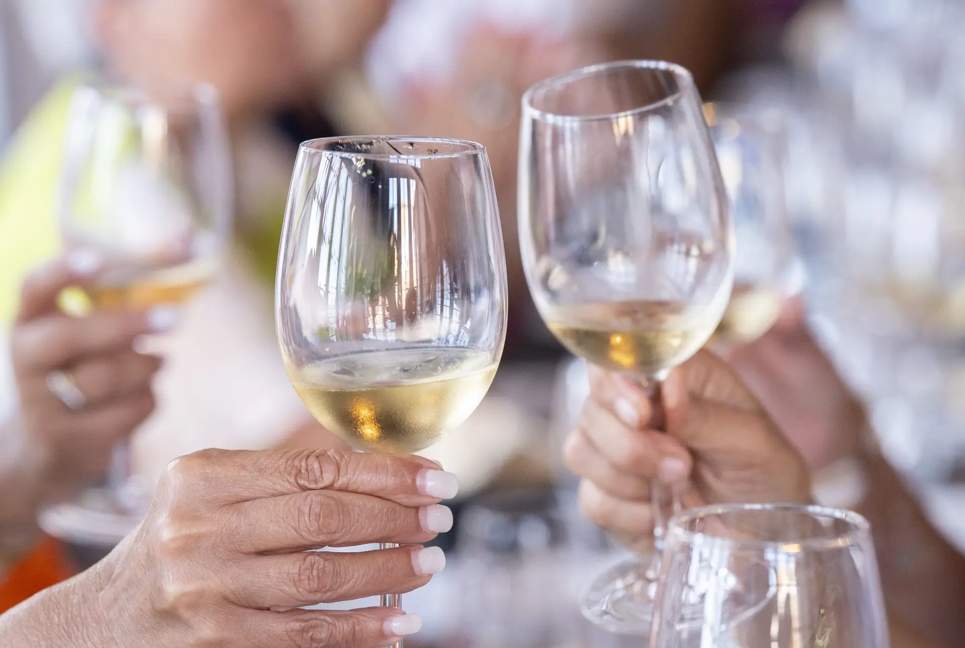 Vinhos atlânticos