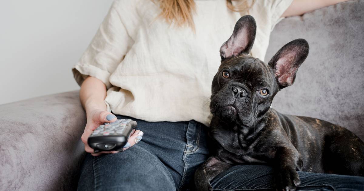 No Reino Unido, plataformas de ‘streaming’ passam a seguir as mesmas regras que a televisão