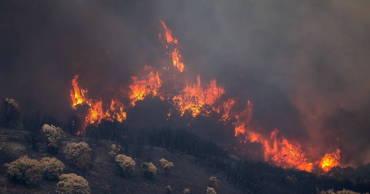 Espanha: sobe para 14 o número de mortos no incêndio florestal na Andaluzia