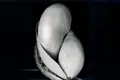 Águas vivas