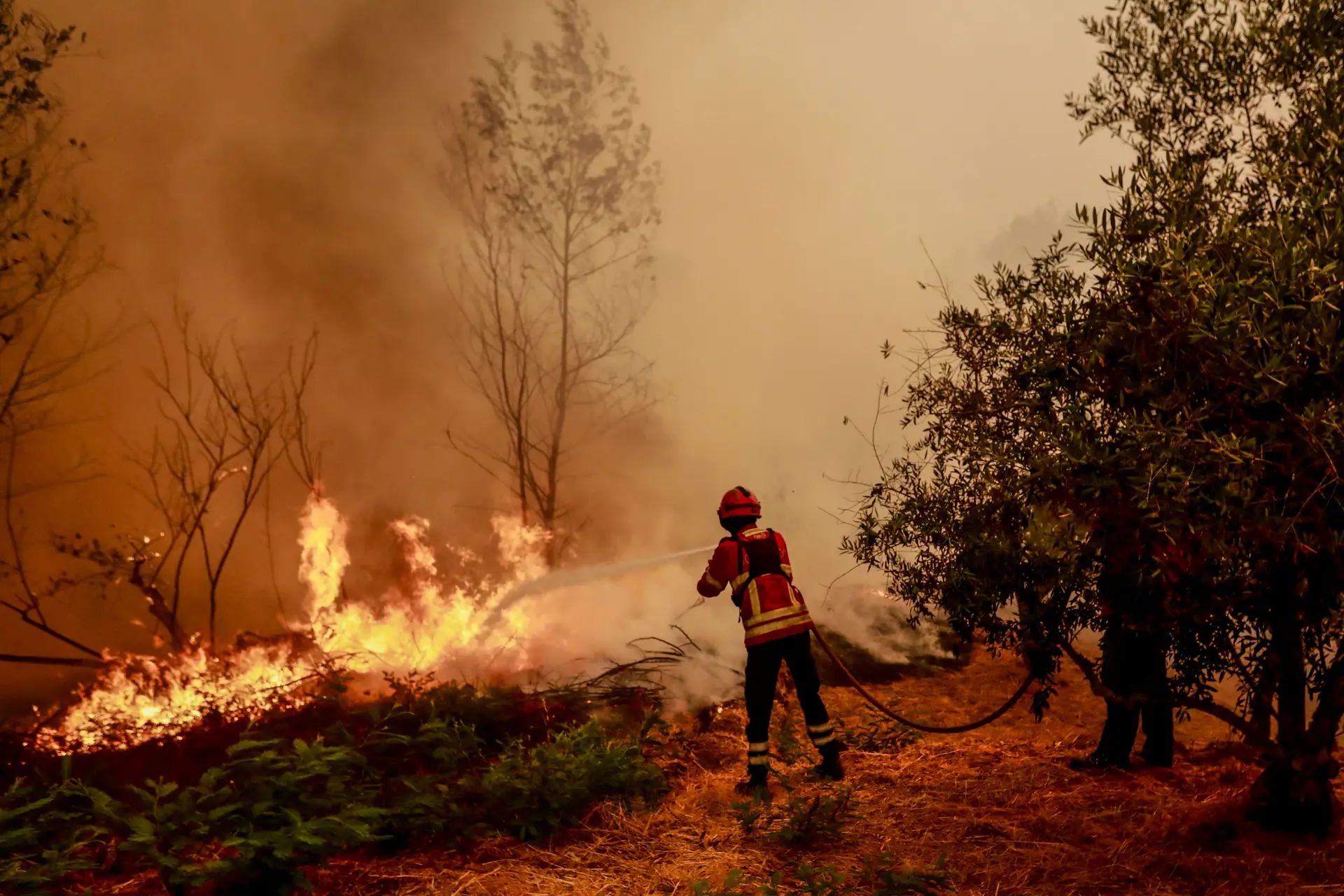 Mais de 80 concelhos permanecem em perigo máximo de incêndio rural