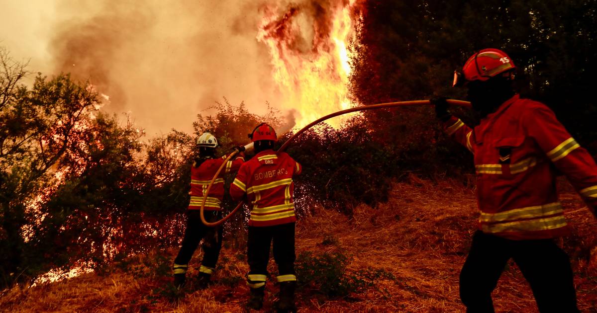 Incêndios no norte e centro do país mobilizam mais de 2.300 operacionais