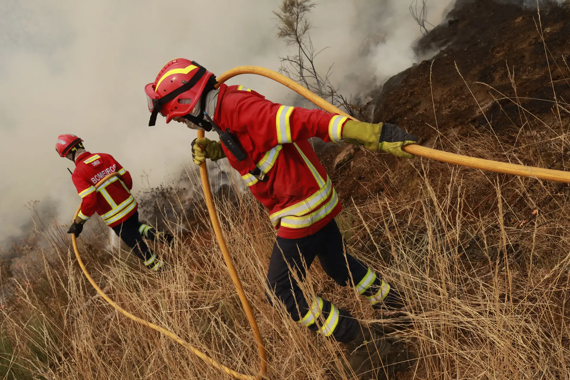 21 bombeiros morreram em serviço em Portugal desde 2020: houve 257 óbitos desde 1980