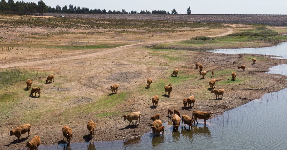 Alterações climáticas, poluição e escassez de água potável apontados pelos portugueses como principais riscos para a qualidade de vida