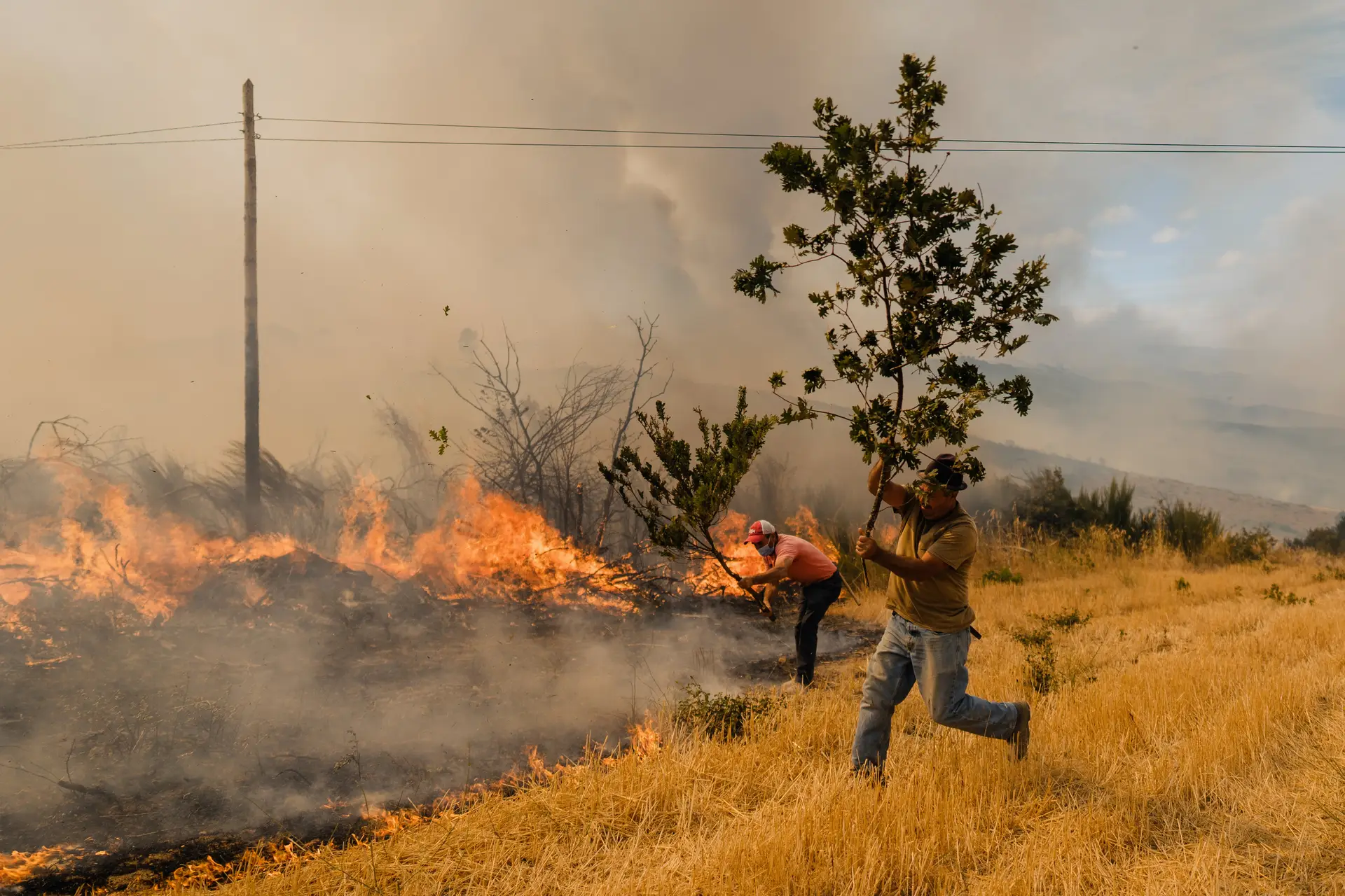 País em chamas: falta de coordenação das forças no terreno pesa mais do que o calor extremo