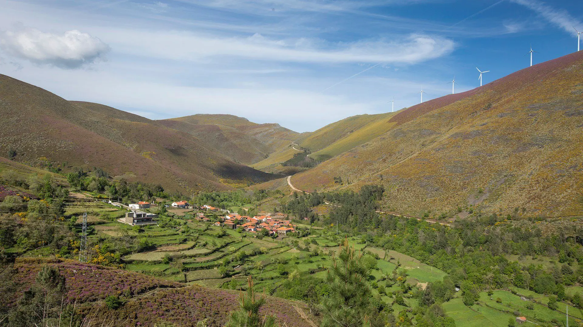 Mafómedes