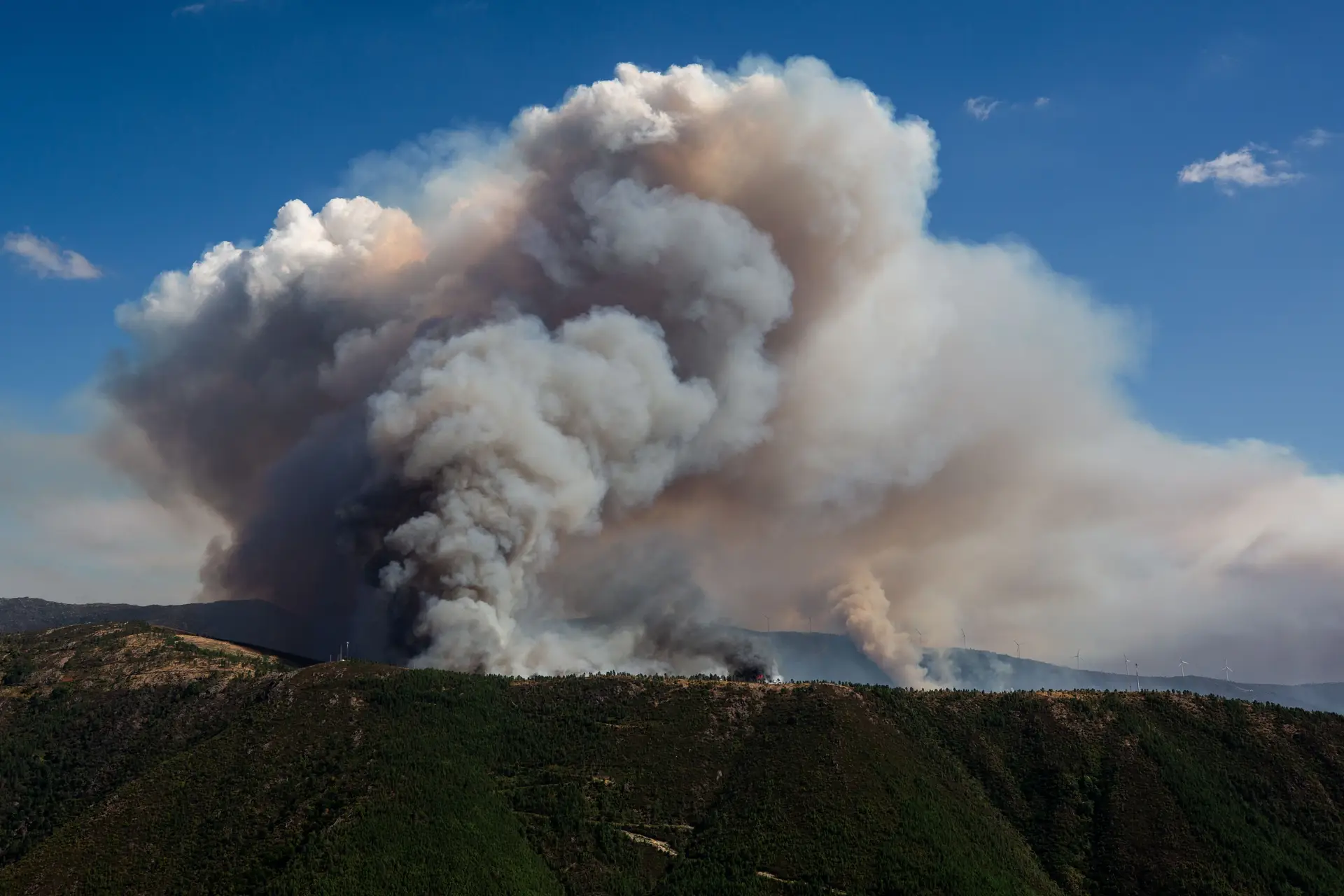 Incêndios: mais de 200 operacionais apoiados por 10 meios aéreos combatem fogo em Seia