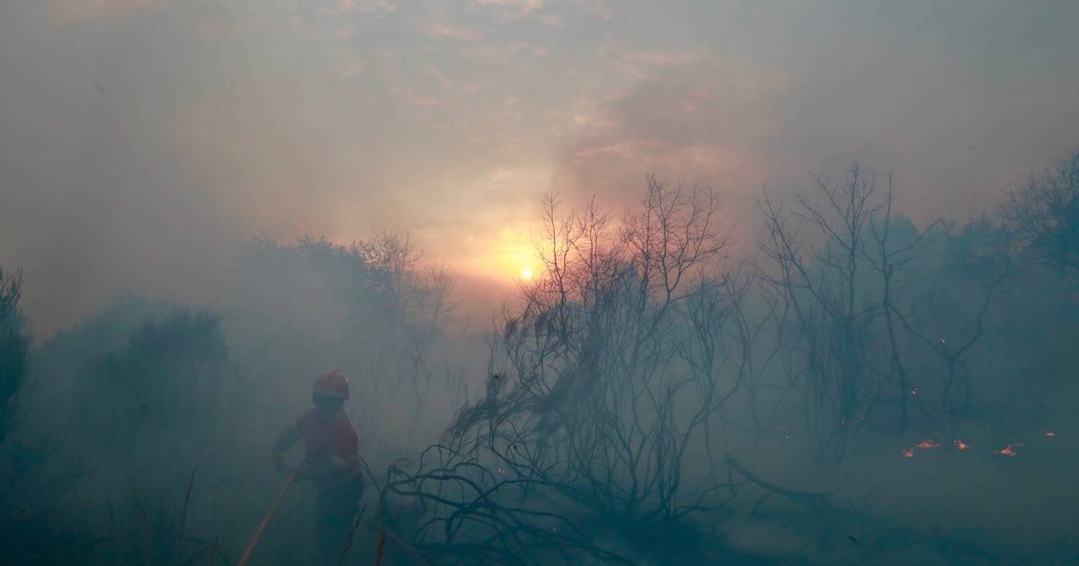 Já foram detidas 59 pessoas por atearem incêndios florestais este ano