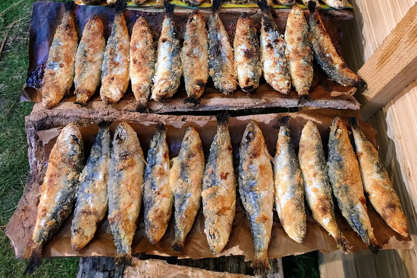 Sardinha na Telha na praia da Tocha