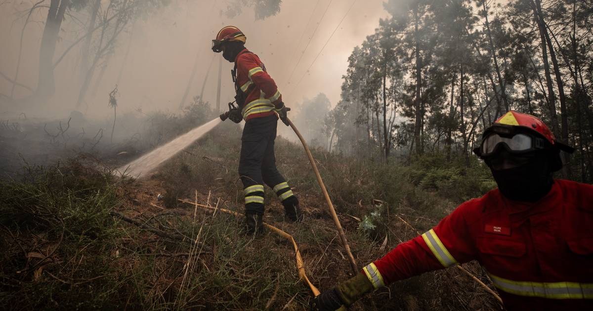 Marcelo promulga diploma que cria Comissão Técnica Independente para avaliar incêndios de agosto