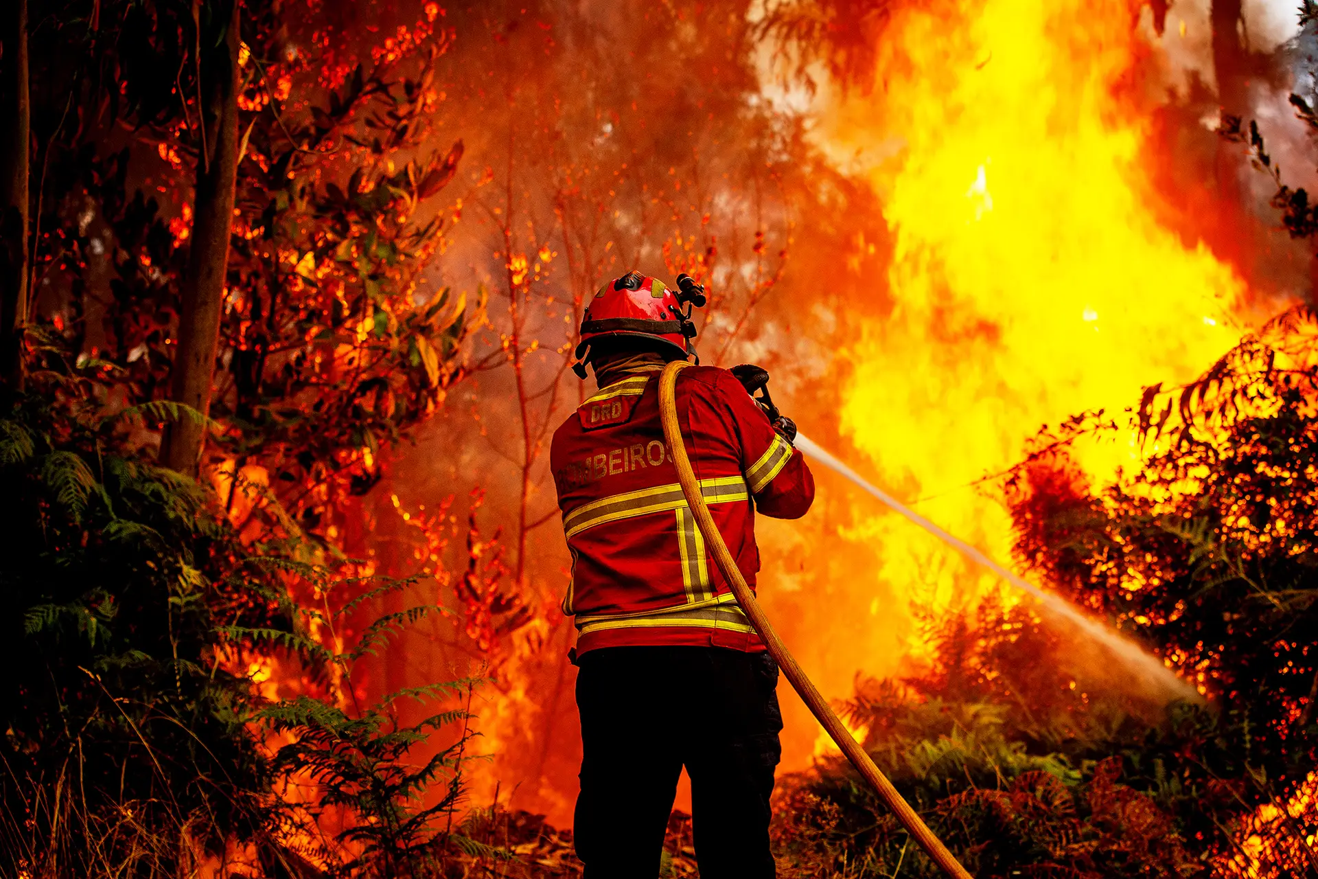 Incêndios queimaram 3% do território até final de agosto de 2025