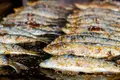Tempo de sardinhas