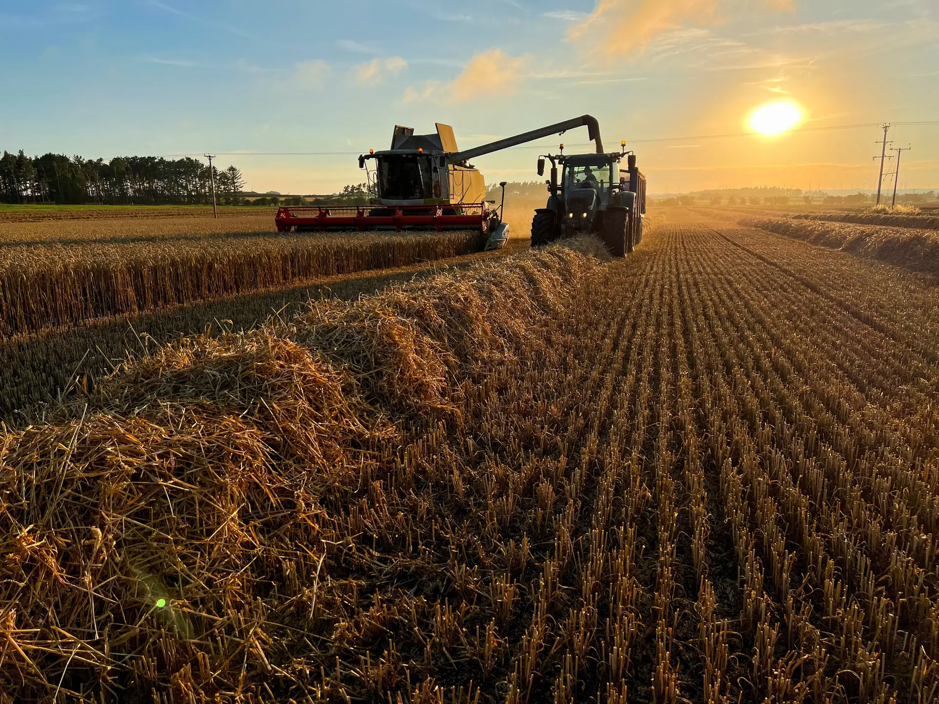 Mercosul. UE vai proteger agricultores das importações