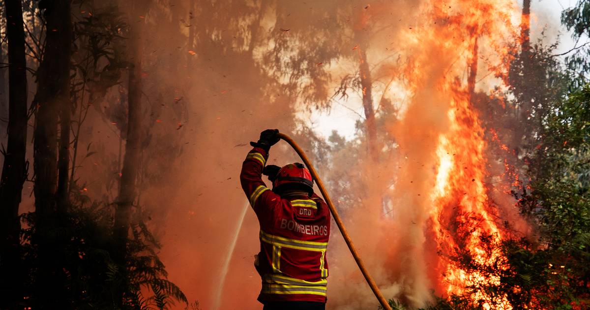 Incêndio em Aljezur e Lagos está dominado em 70% mas linha de fogo de 8 km preocupa Proteção Civil