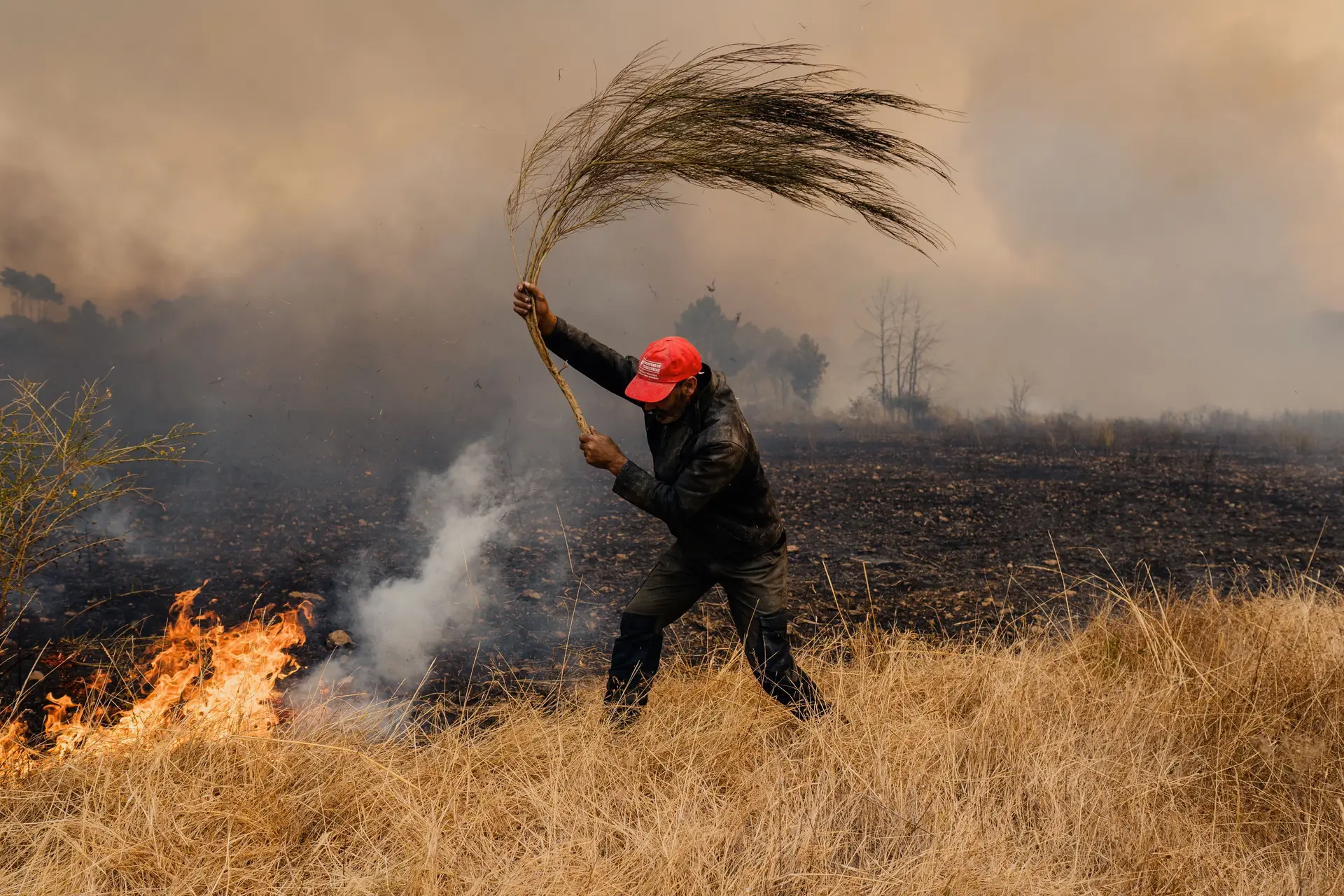 Incêndios: 3,7% das áreas protegidas arderam este ano