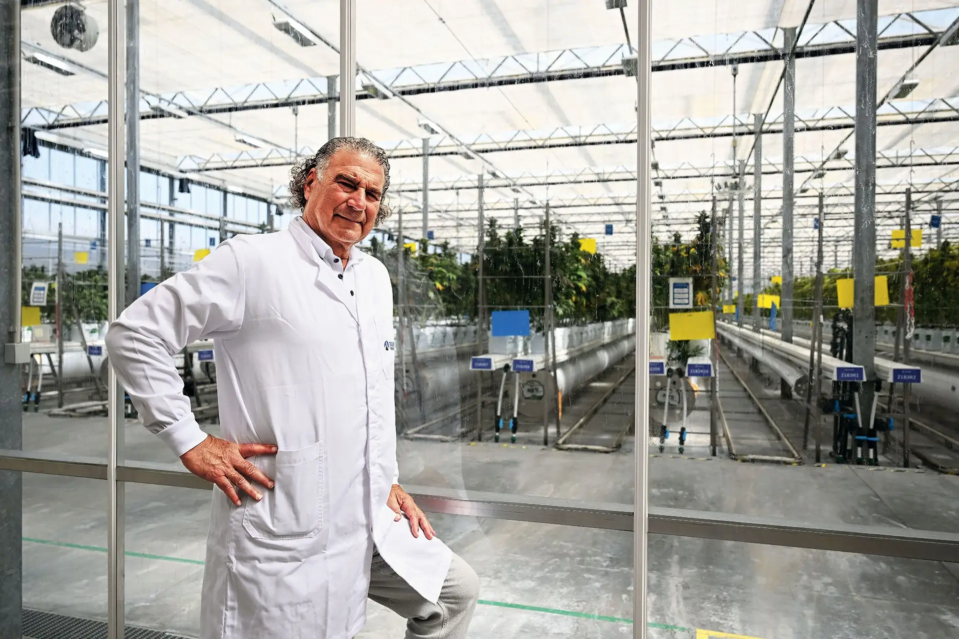 Irwin Simon lidera a Tilray, que em 2023 despediu um quarto do seu pessoal em Portugal