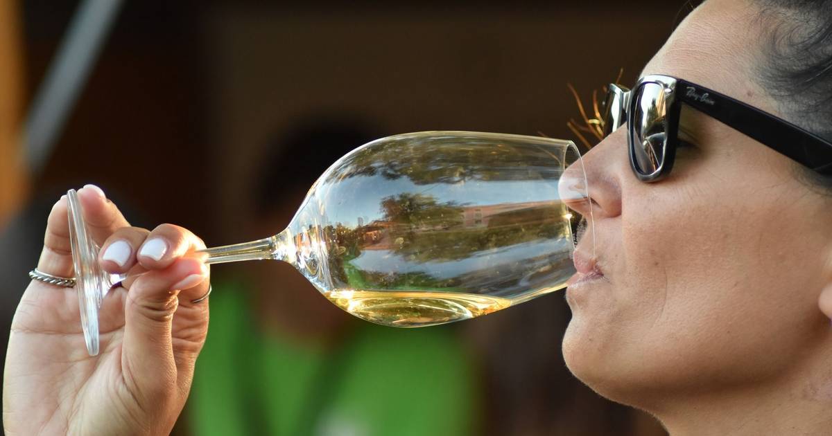 Boas compras: por menos de €10, estes são os melhores vinhos do ano