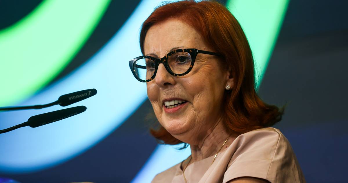 Ministra do Ambiente diz que eventuais mexidas no Instituto da Conservação da Natureza e Florestas não são para já