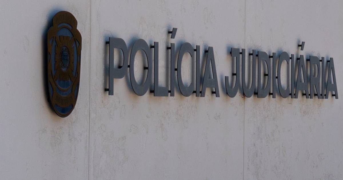 PJ investiga crânio humano encontrado numa área florestal em Braga