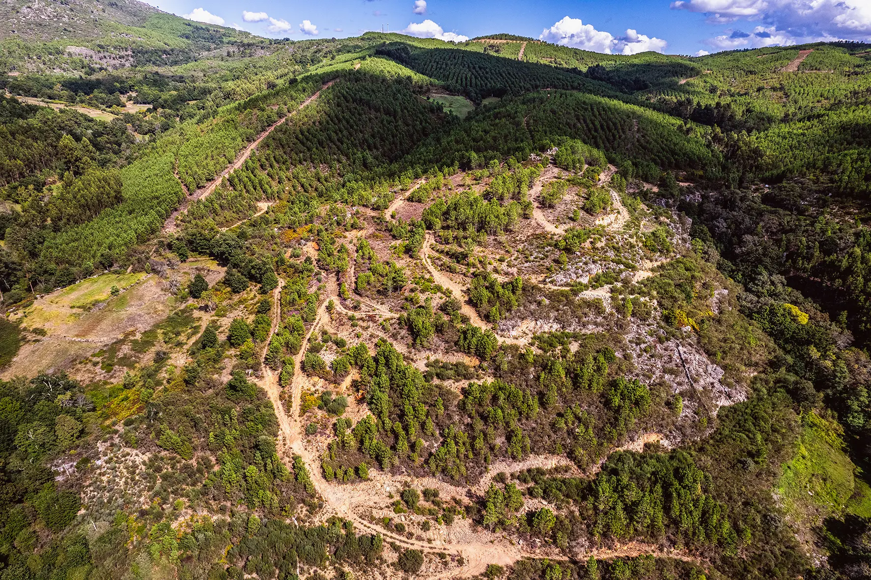 Savannah Resources terminou o programa de sondagens com um aumento de 40% no recurso confirmado