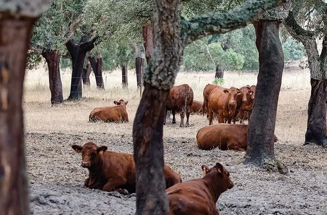 Best Farmer, um dos produtores que receberá alunos da Escola de Hotelaria de Lisboa