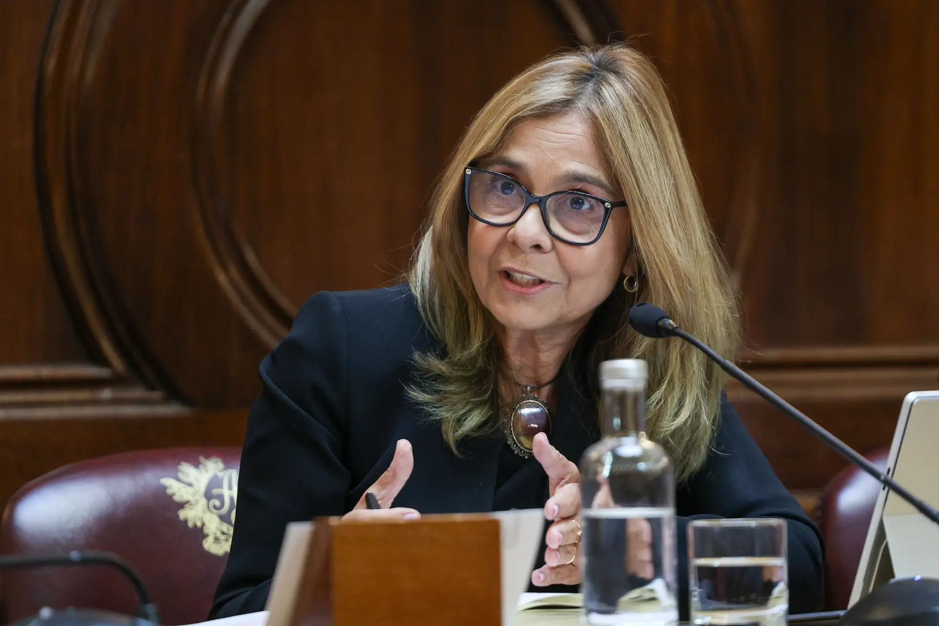 Ana Paula Martins ouvida na Comissão de Saúde