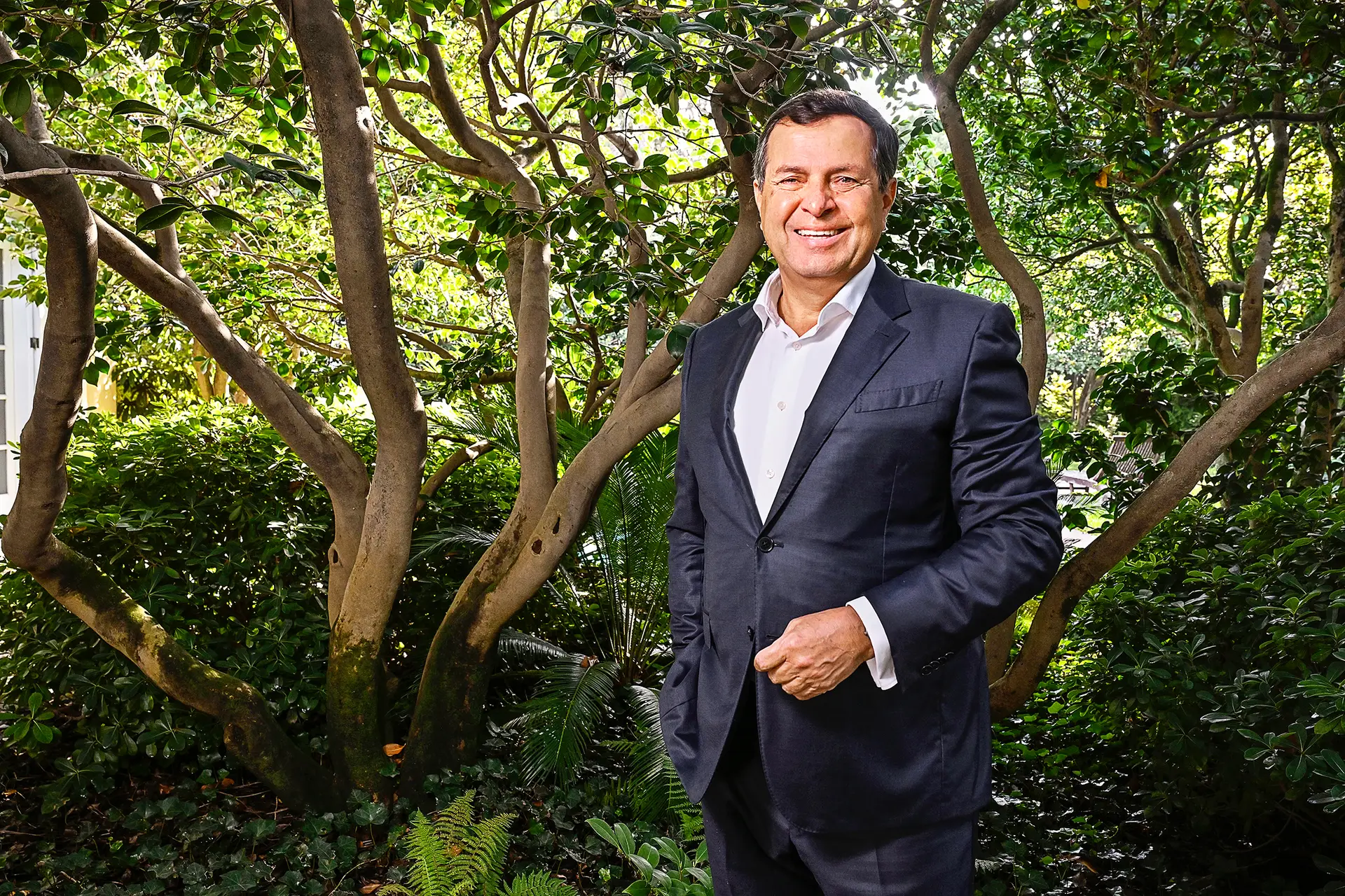 Manuel Ferreira da Silva. Da banca ao museu