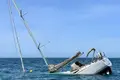 Interações entre orcas e veleiros caem 45%