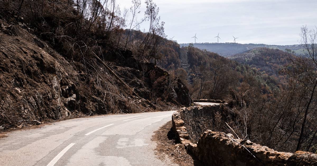 “Esta aldeia vai ser à prova de fogo”: projeto afetado pelos incêndios quer mostrar como a mão humana pode ser usada para travar as chamas