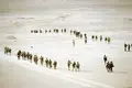 A paz hostil no Norte de África
