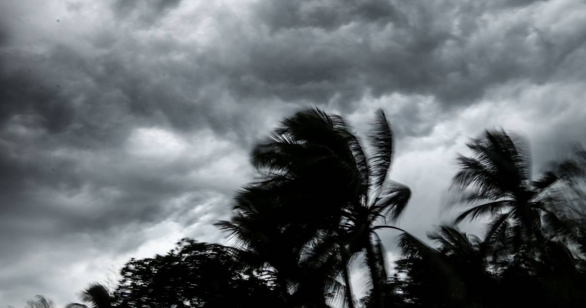 Bad weather: Civil Protection raises readiness level to maximum between Viana do Castelo and Setúbal