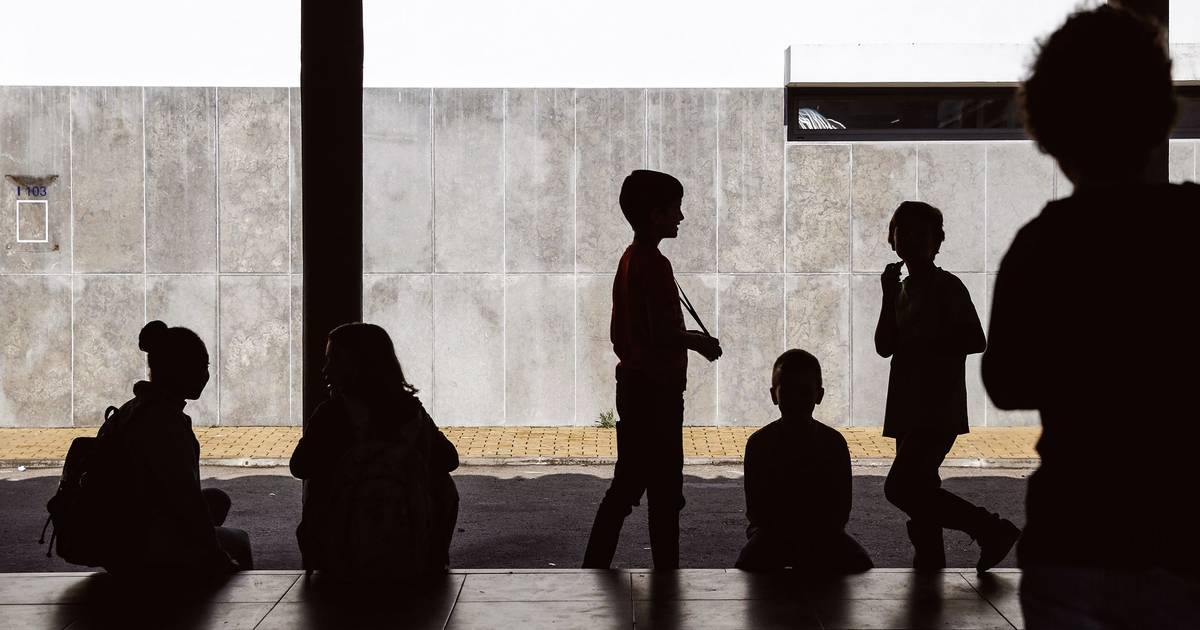 Greve na função pública com adesão a rondar os 80%, diz Fesinap