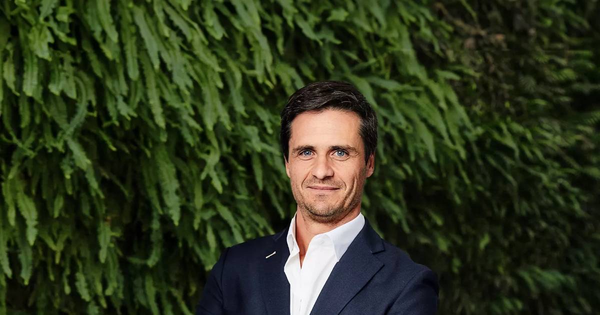 Sector elétrico está "afogado" em fiscalidade, diz presidente da Elecpor