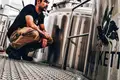 Cerveja. Dois Corvos entra em revitalização