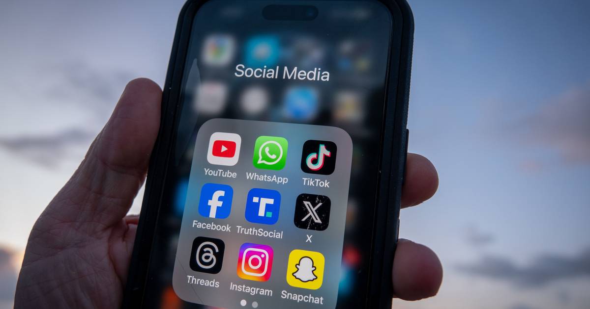 TikTok pede a reguladores clarificação no conflito entre lei dos serviços digitais e regime de proteção de dados