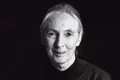 Jane Goodall, um animal humano maravilhoso