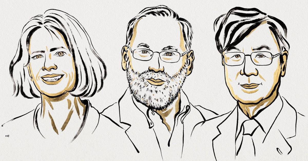 Nobel Medicina entregue a Mary E. Brunkow, Frederick Ramsdell e a Shimon Sakaguchi pelas descobertas sobre o sistema imunitário