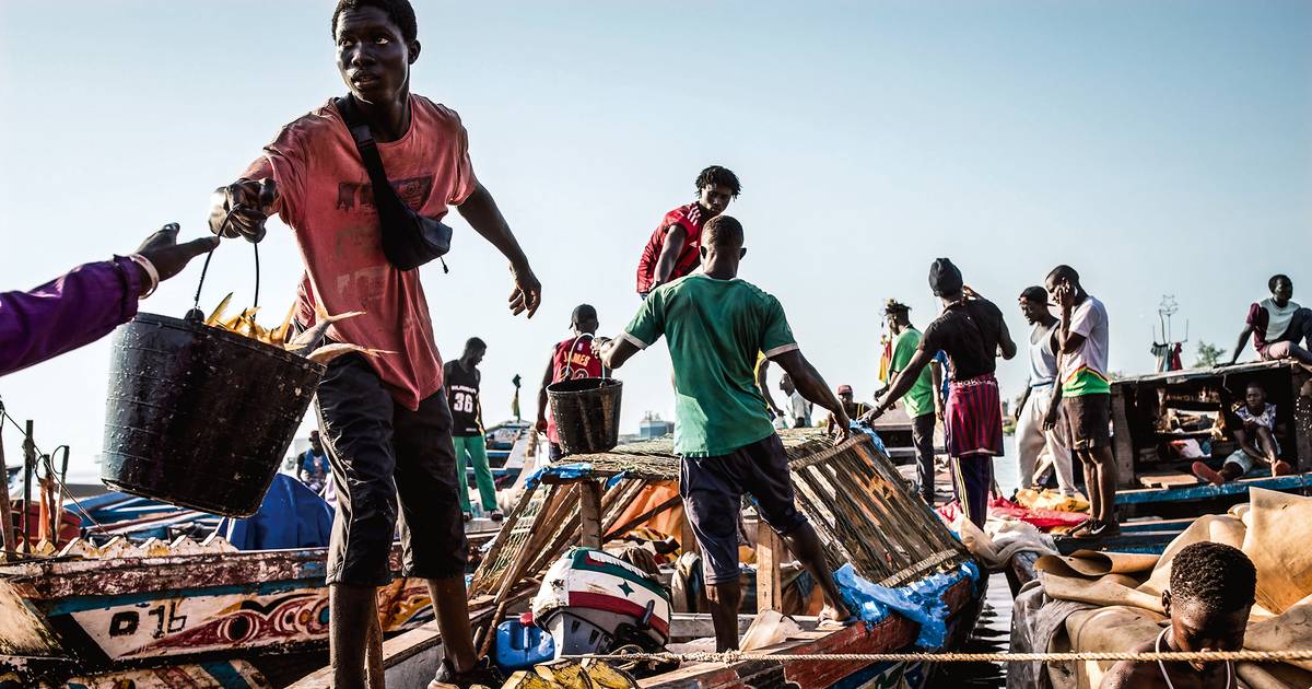 Guiné-Bissau à mercê das marés: o mar que dá é o mar que tira