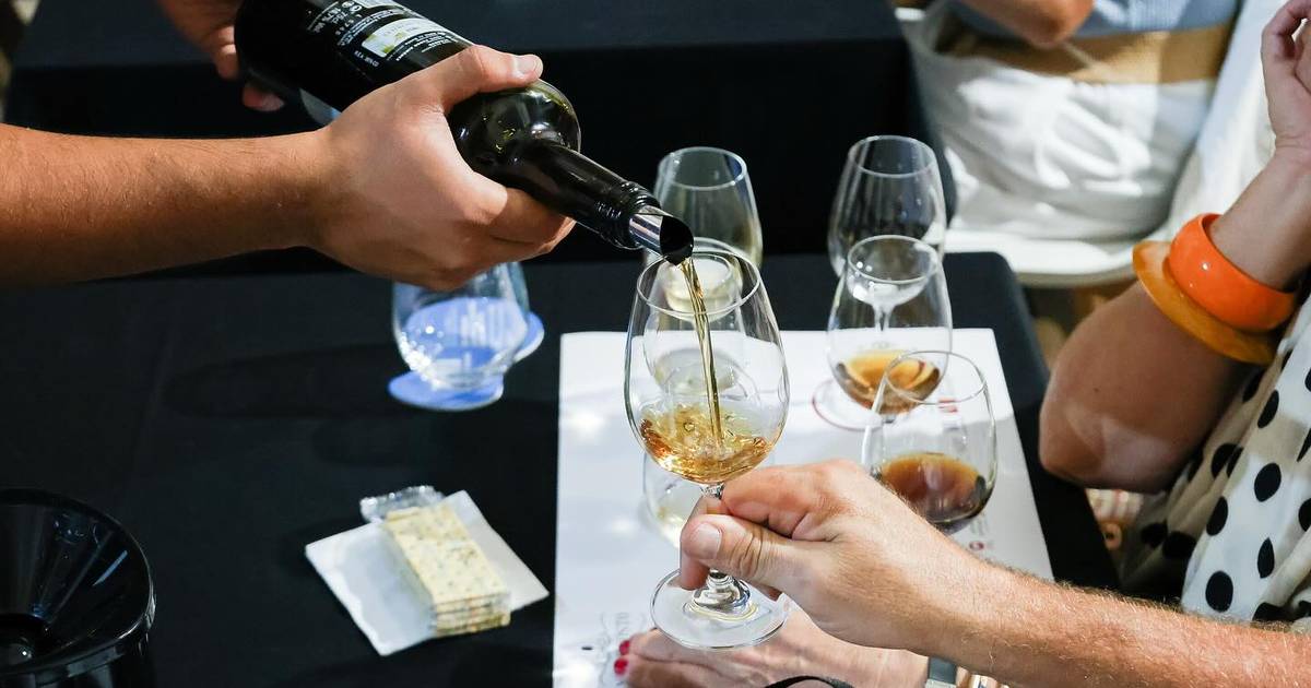 Os melhores vinhos de Portugal e "Sabores ao Centro" vão estar à prova no Parque das Nações