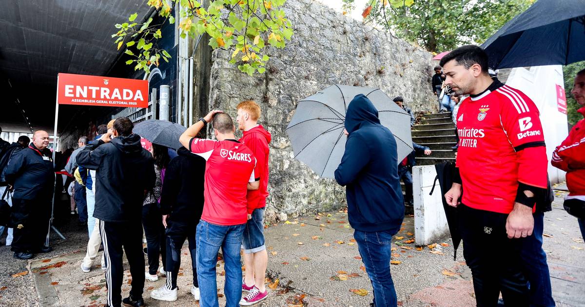 A expectativa de menos tempo de espera e de novo recorde de participação: Benfica esclarece questões da 2.ª volta das eleições A expectativa de menos tempo de espera e de novo recorde de participação: Benfica esclarece questões da 2.ª volta das eleições