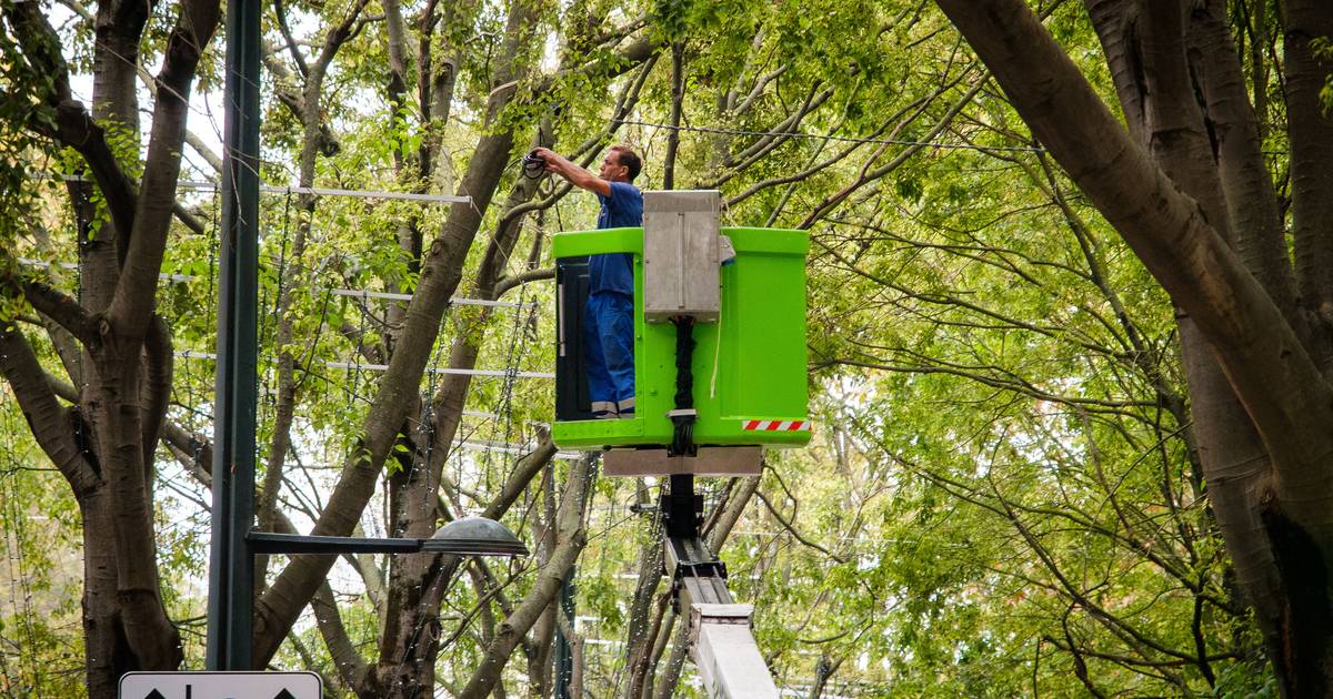 ​​Operação Lúmen: administrador da Castros admitiu concertação com outras empresas para ganhar contratos públicos e confessou-se arrependido