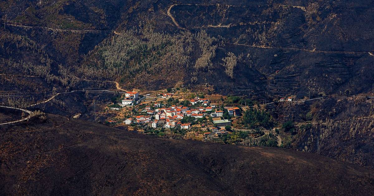 2025 was the second-worst year of the decade for burnt area in Portugal