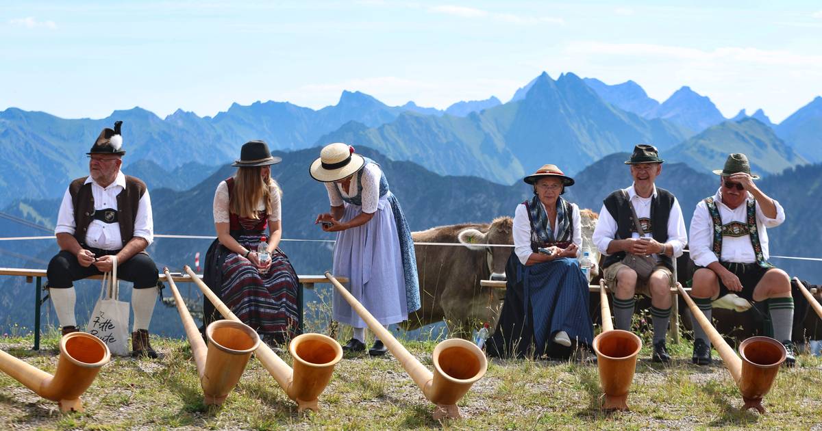 “Queriam um governo forte, mas não se prepararam para o domínio dos nazis nas suas vidas”: entrevista sobre “Uma Aldeia no Terceiro Reich”