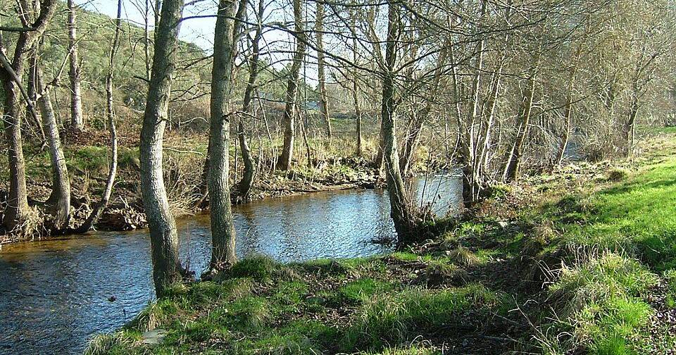 Exploração de volfrâmio na Galiza pode contaminar Parque Natural de Montesinho, alerta movimento cívico